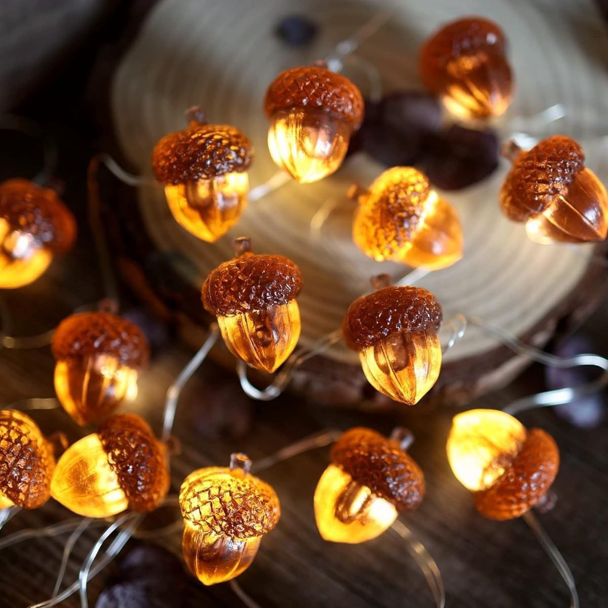 30 LEDs Acorn String Lights Th - огляд і ціна Led Fairy String Lights